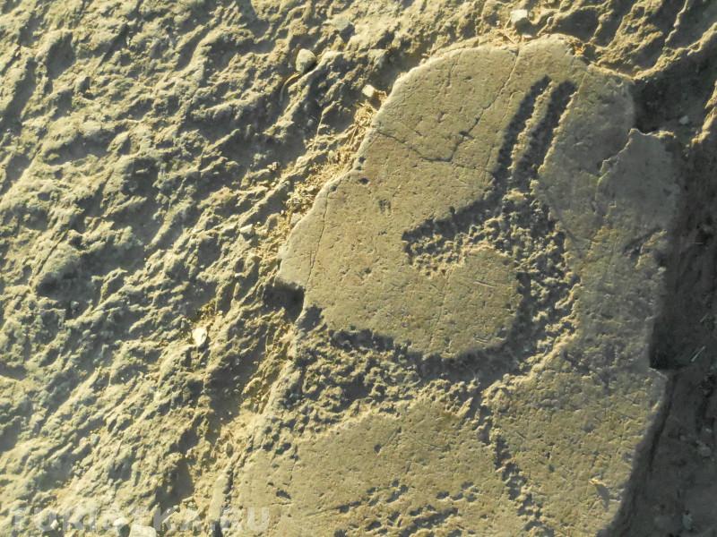 Олени неолита