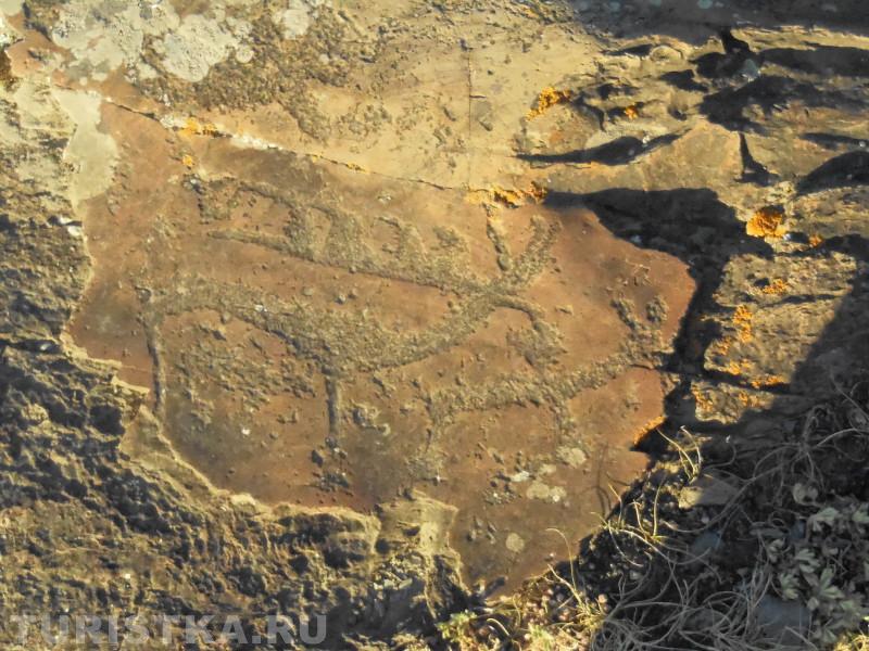 Рисунок неолита