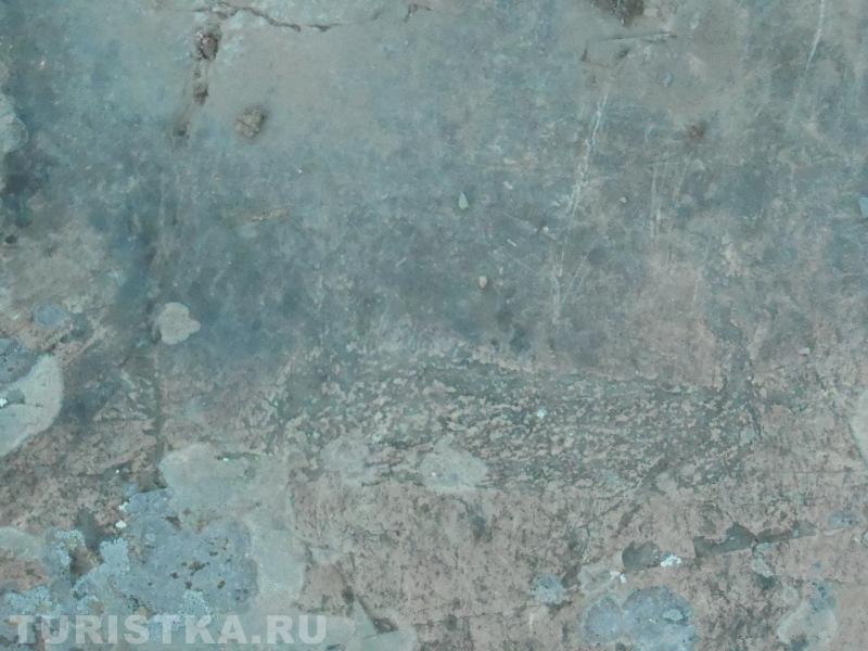 Рисунок неолита