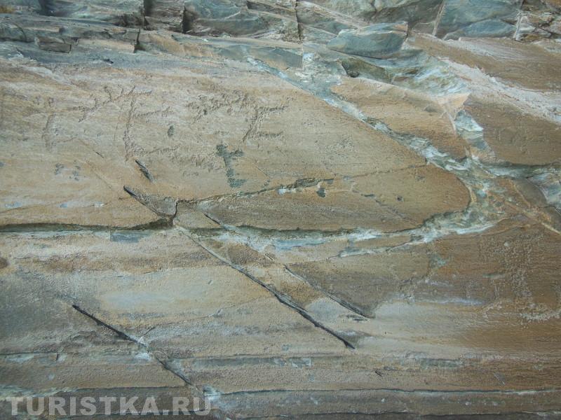 Олени неолита