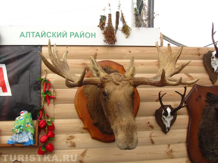 Выставочные стенды районов