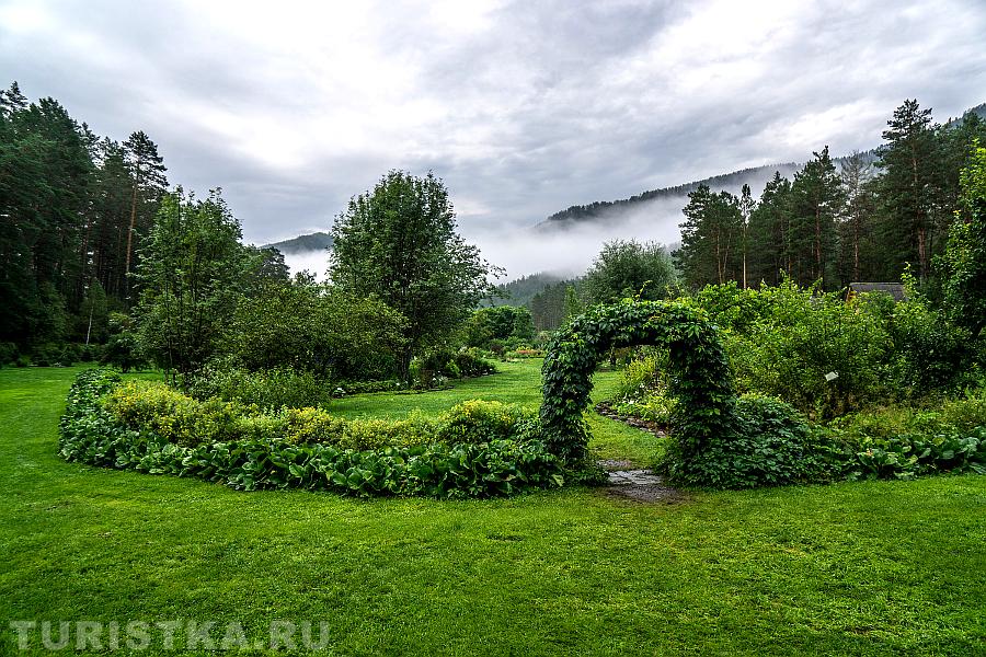 Ботанический сад в селе Камлак