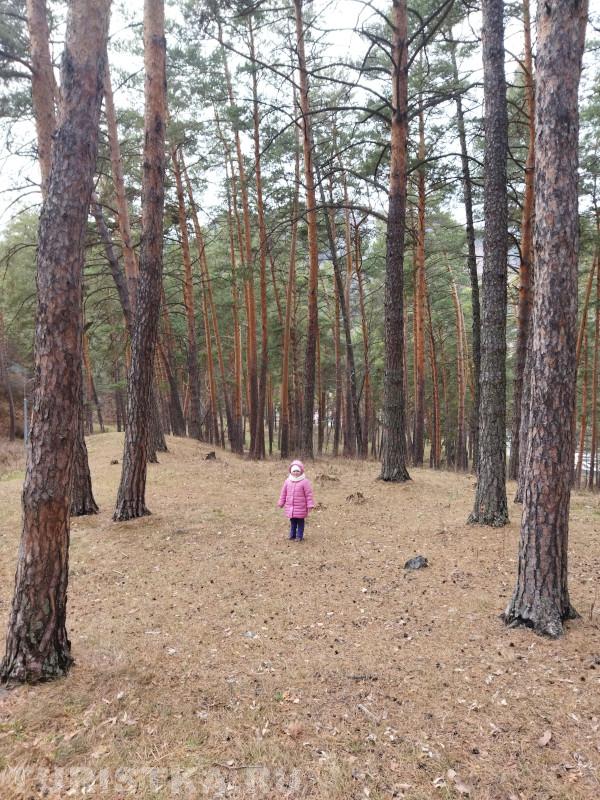 Мишка, ау, ты где? А то потерялась я. Чемал остров Патмос.