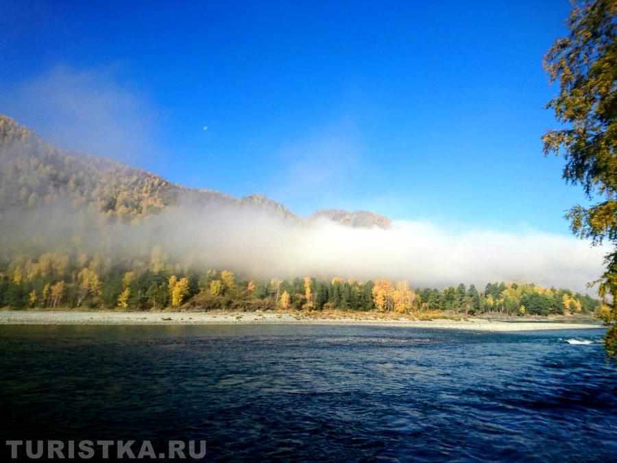 Облака на макушках.