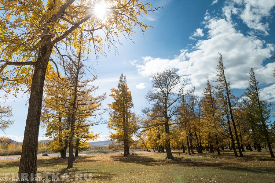  Золотая Осень Чаган-Узуна