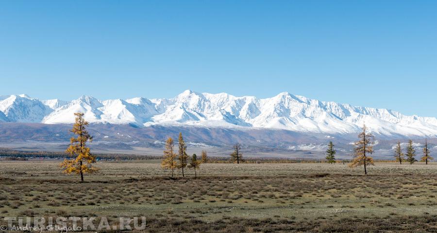 Курайская степь