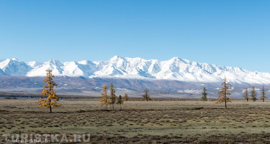 Курайская степь