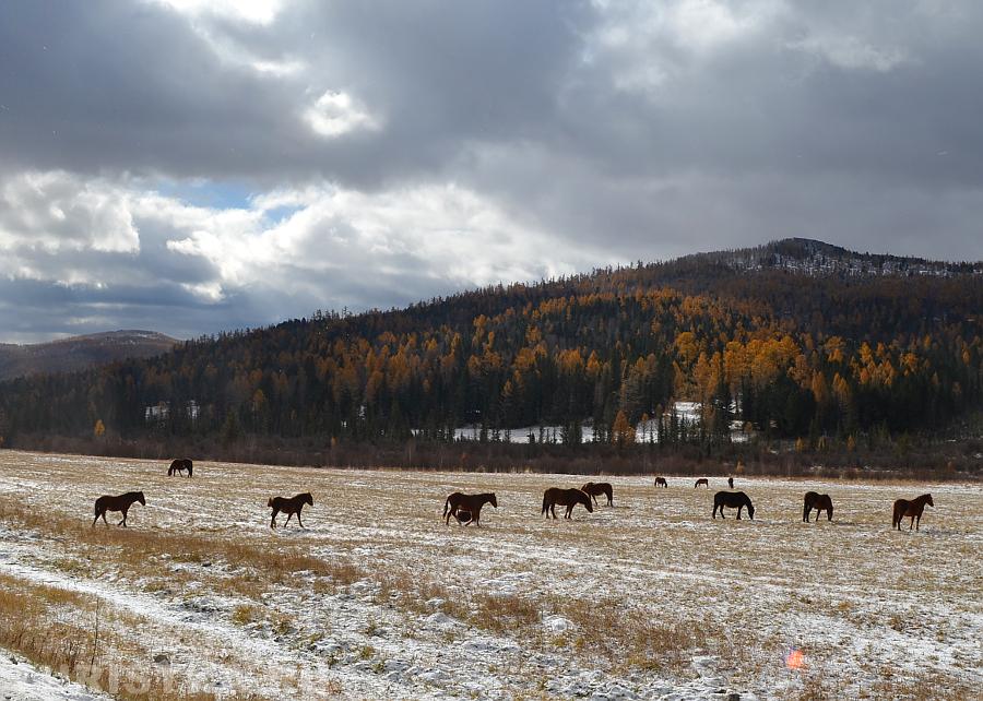 На спуске с Семинского перевала 