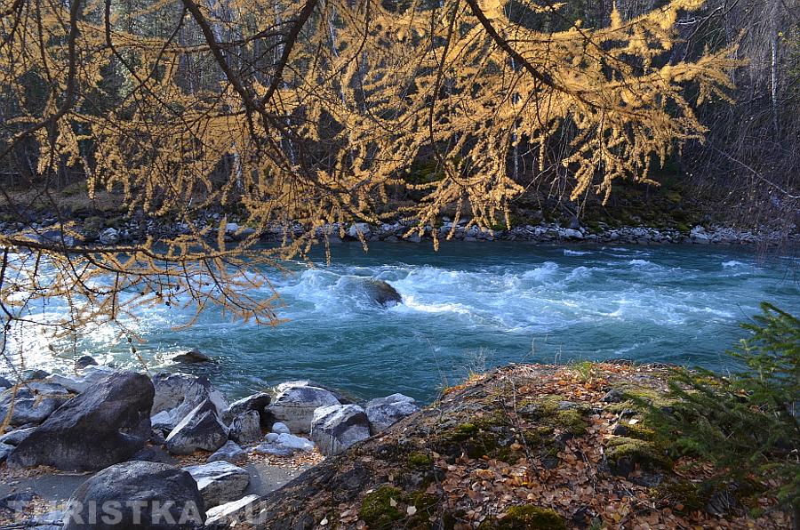 Бирюзовая Чуя