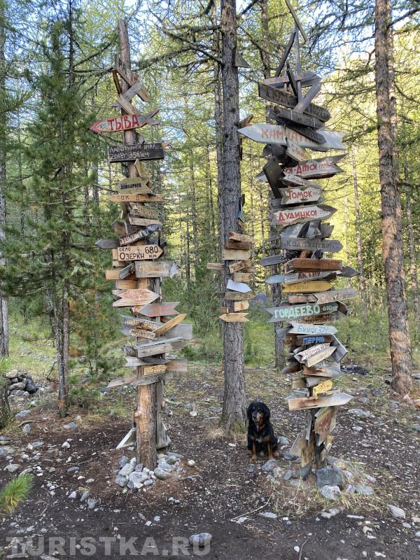 2. «Извините, как пройти в библиотеку? А то грамоте ещё не обучен» (Ущелье Актру)