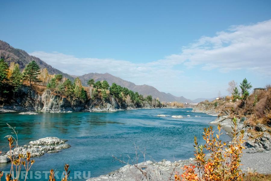 Октябрь 2015 года. Чемал, берег Катуни.