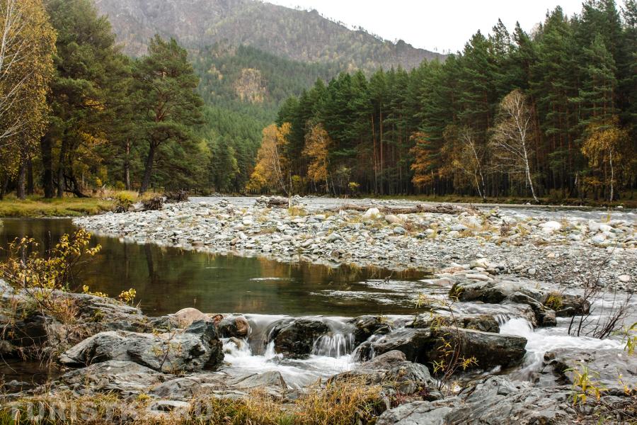 Октябрь 2015 года, река Чемал выше села. 