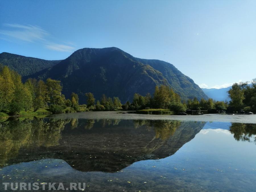 Южный берег Телецкого озера