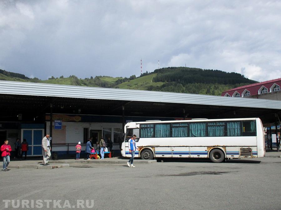 Фото Номер Телефона Славгородского Автовокзала