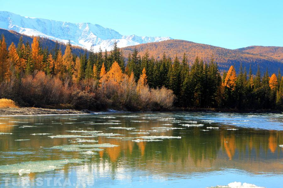Берег реки Чуя в районе села Чаган-Узун