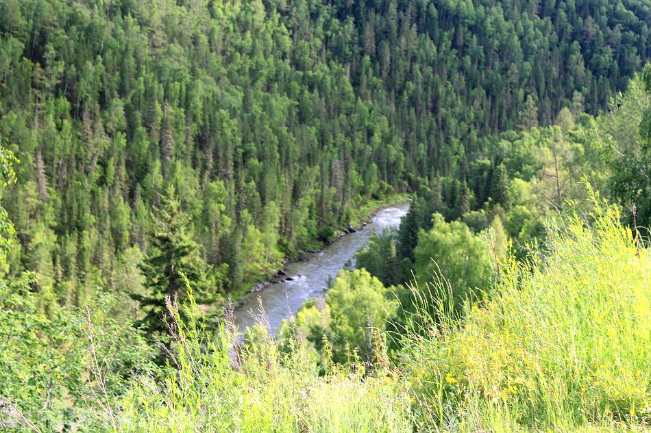 Река Кокса. Вид с обзорной площадки. Горный Алтай