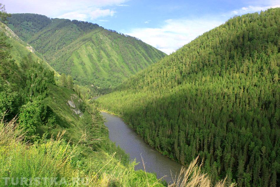Обзорный вид на реку Кокса. Усть-Коксинский район.