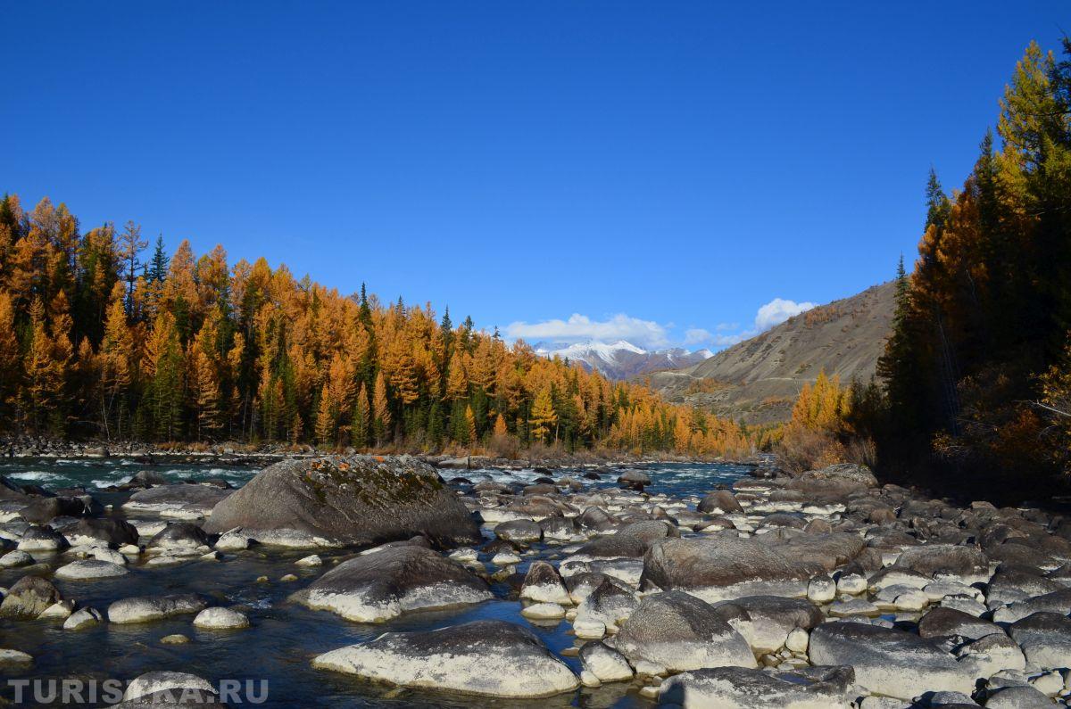 Алтай. Вид на реку Аргут 