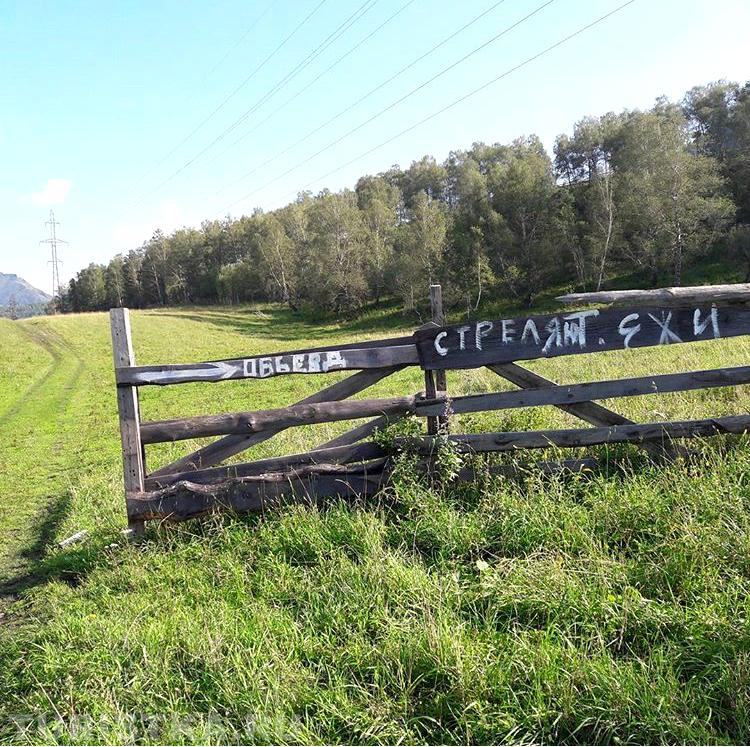 "Суровый Алтай"