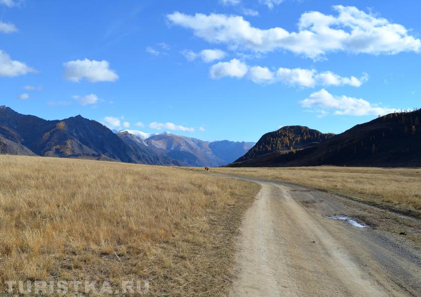 Дорога к селу