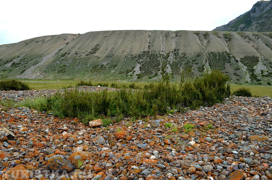 Курган около села Иня