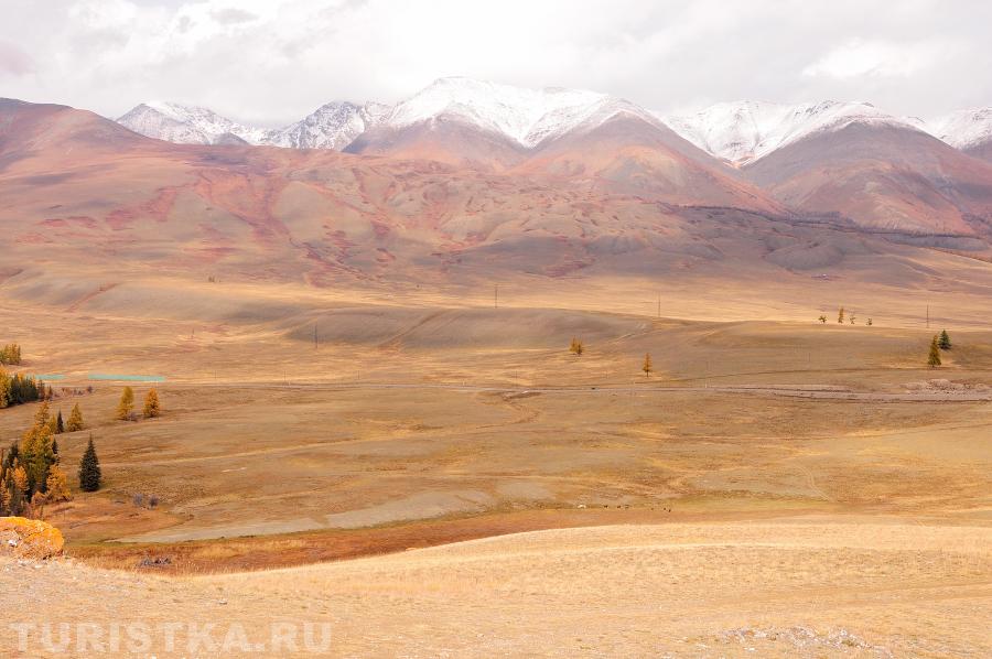 Желтухин Алексей. Курайская степь с видом на Северо-Чуйский хребет