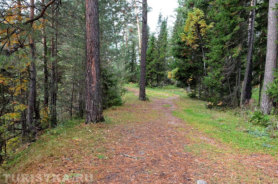 Дорожка к Камню любви от районной больницы
