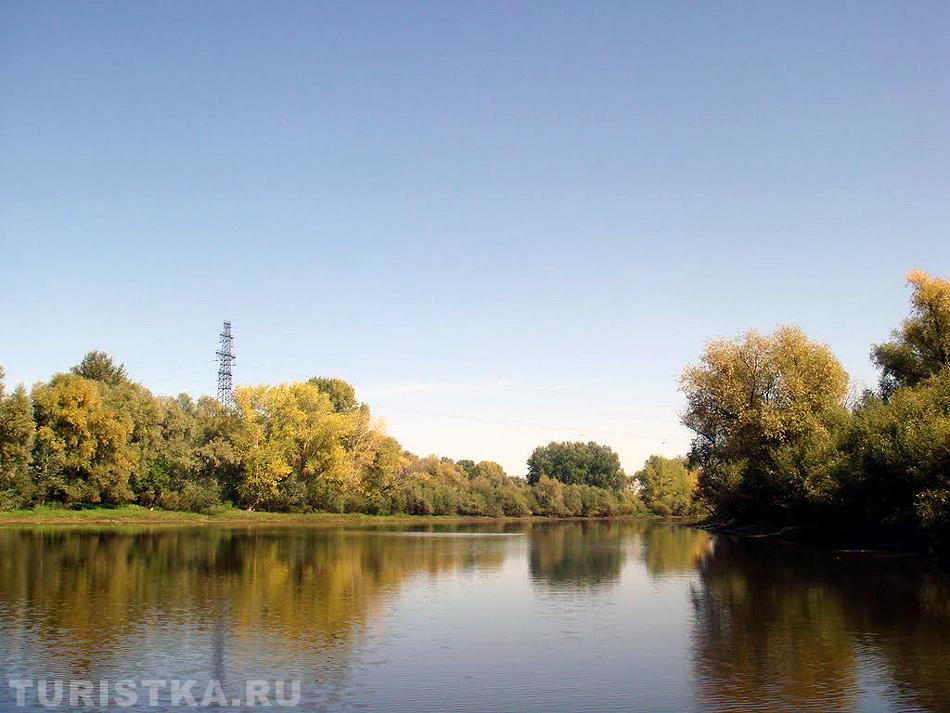 Протока Аллакская Суева