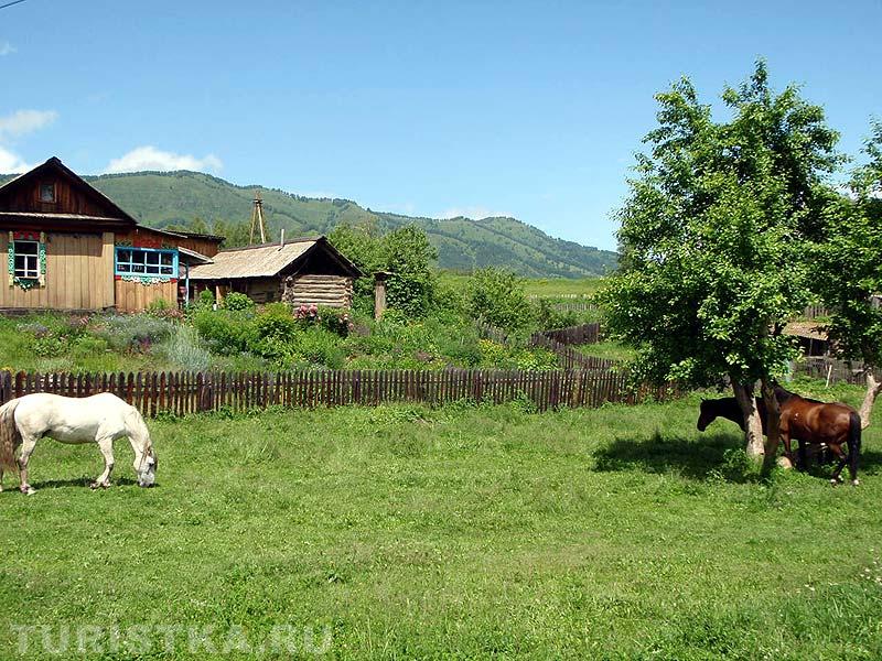 Село Камлак