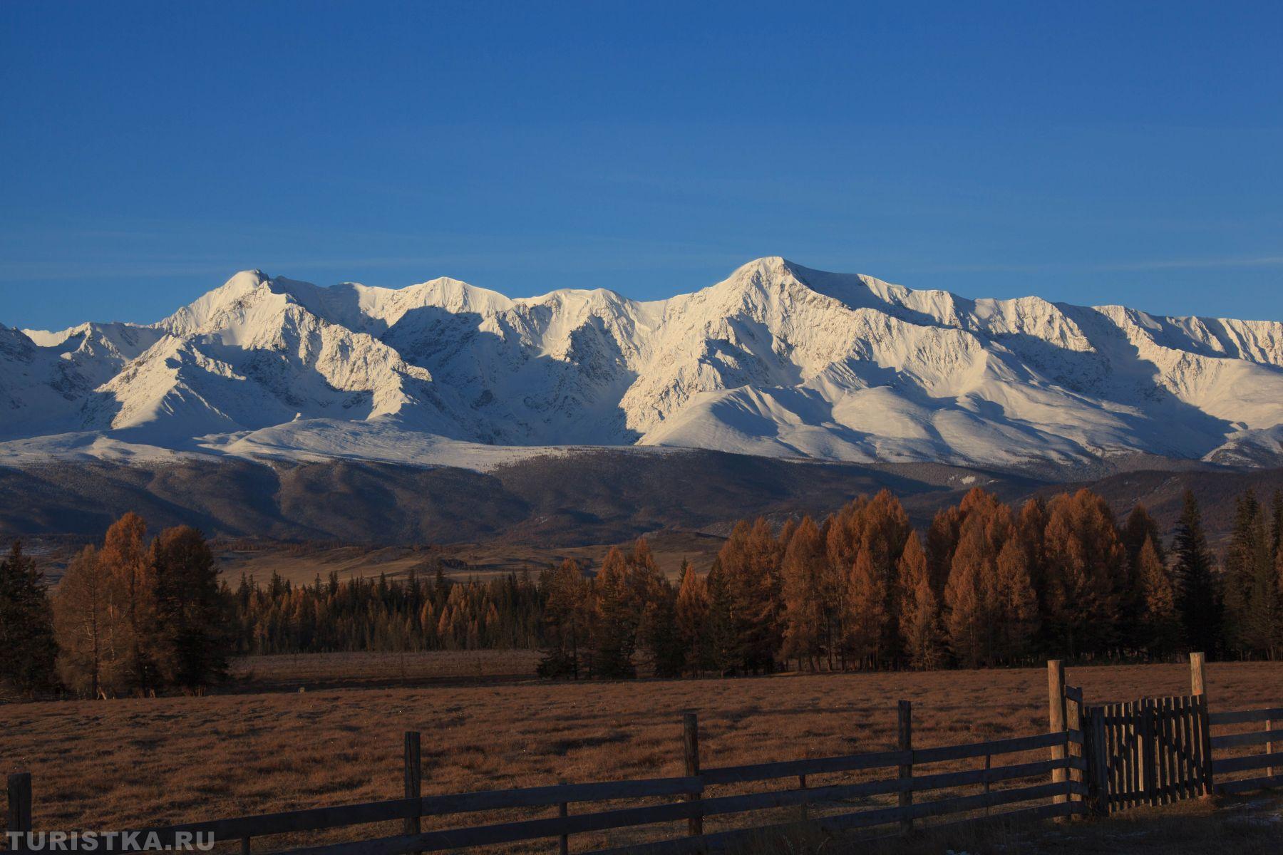 Алтай.  с. Курай