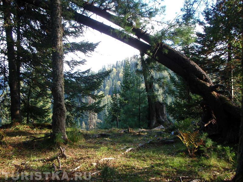 Дорога по краю обрыва