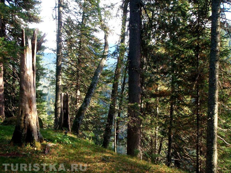 Дорога по краю обрыва