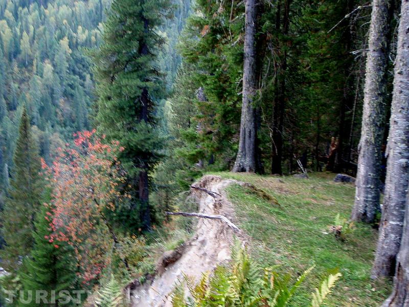 На краю обрыва