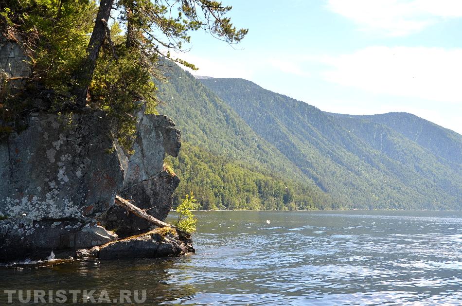 Мыс обезьяны