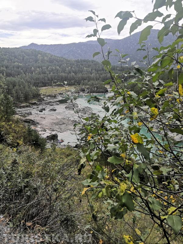 Прогуливаясь по козьей тропе
