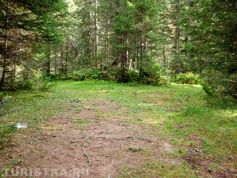 Широкая тропа к роднику