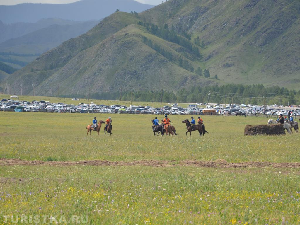 Большое поле для игры в кок-бору