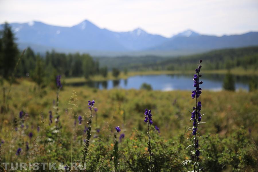 Озеро Киделю. Алтай. 