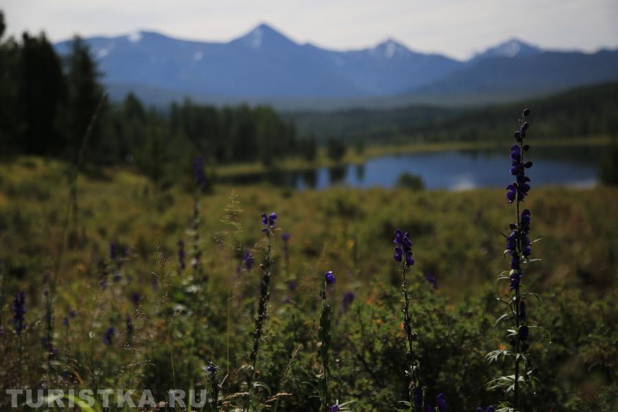Озеро Киделю. Алтай. 