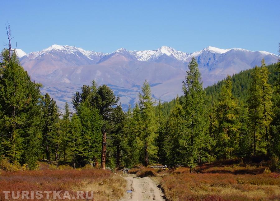  Курайская степь, вид на Северо-Чуйский хребет, 