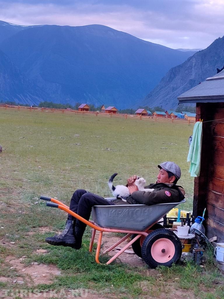 Кото-Дзен по-Чулышмански