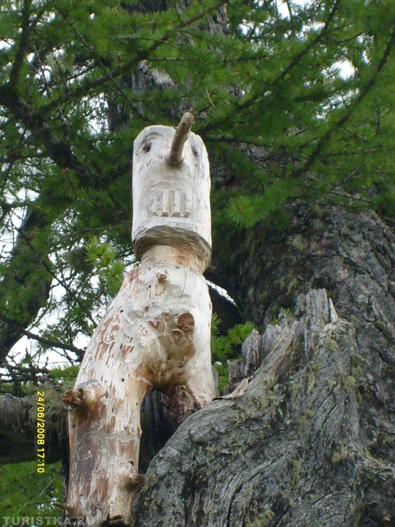 Буратину ждет папу Карло