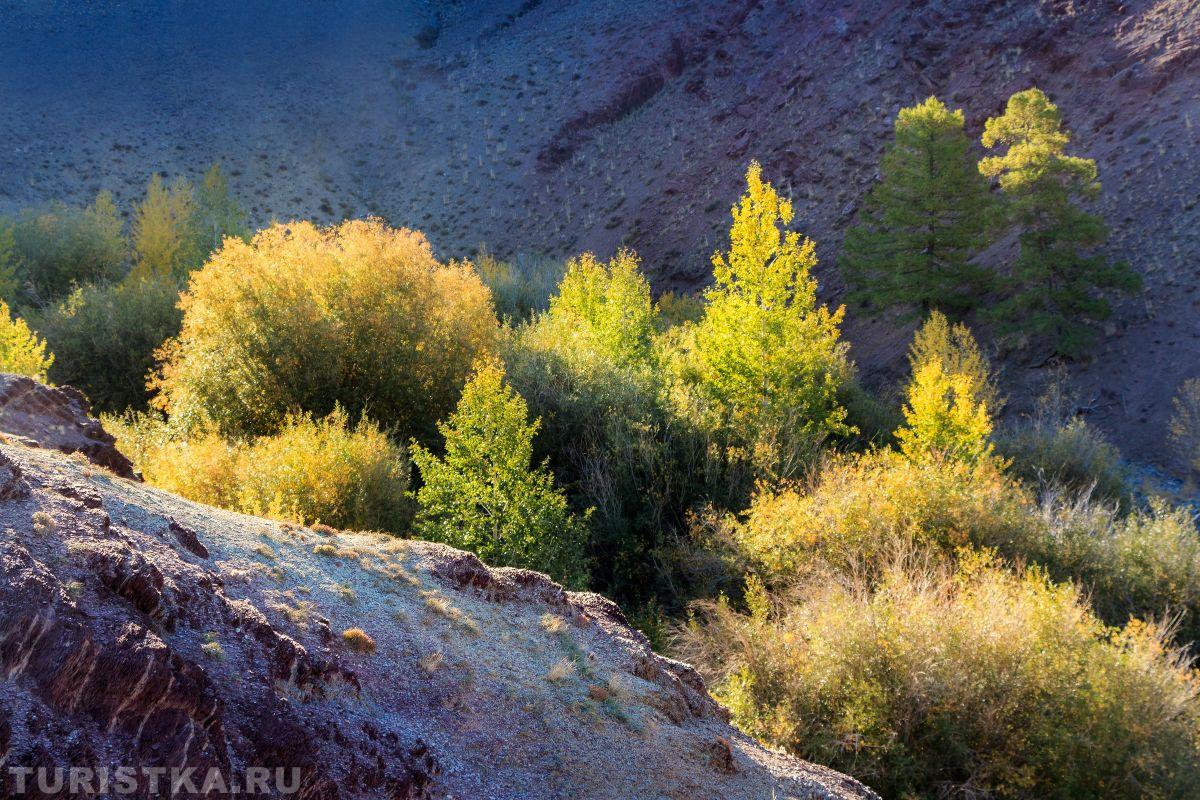 Алтай. Осень на Красной горке, 06.09.14 