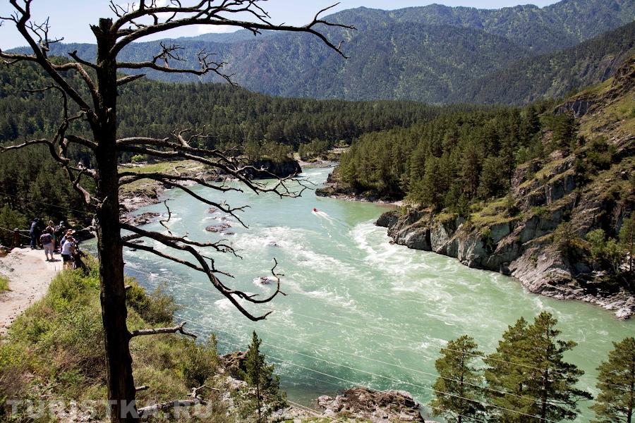 Вид на Катунь с тропы.