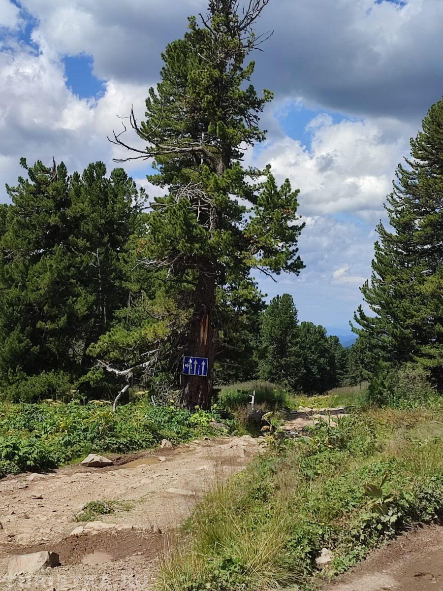 "Ты заблудился… но по правилам", август 2024, пеший поход к Каракольским озёрам