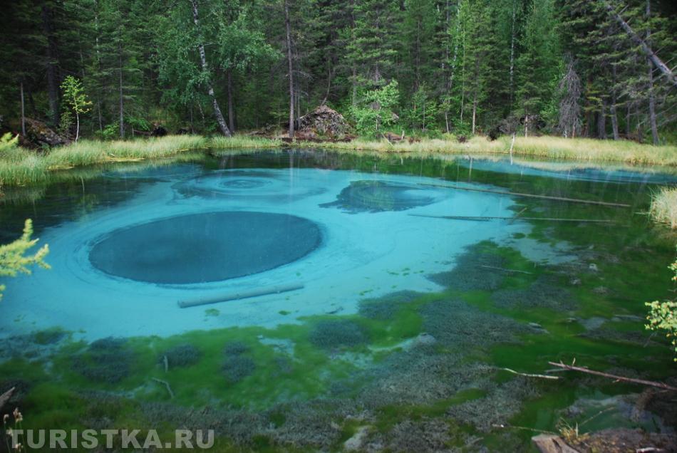 "Видишь суслика?  - Нет.  - И я не вижу. А он есть.  (из фильма "ДМБ")"