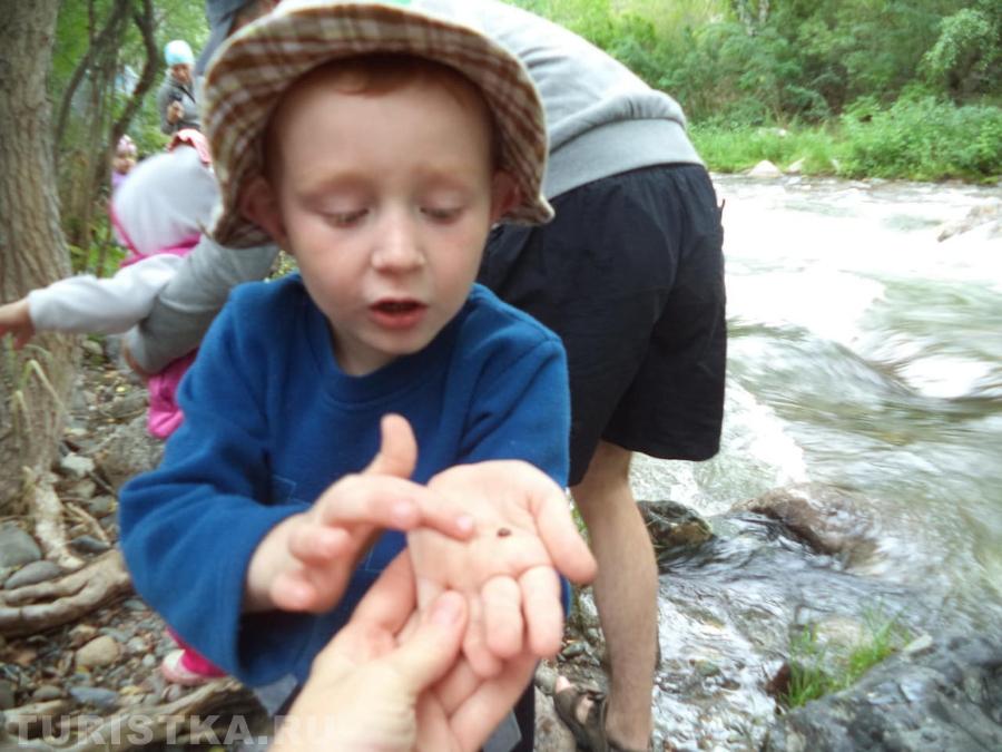  "Что за зверь такой на Алтае.." 