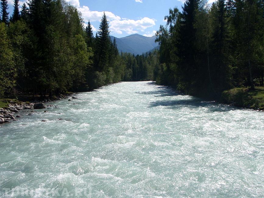 Речка Кучерла Усть-Коксинский район Алтай.
