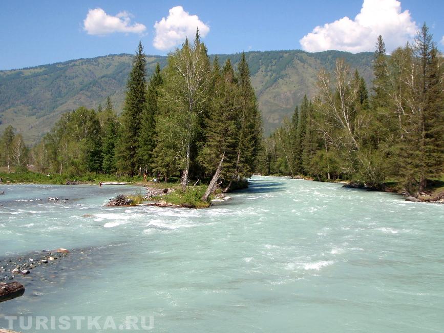 Речка у Урочище Елань. Усть-Коксински район