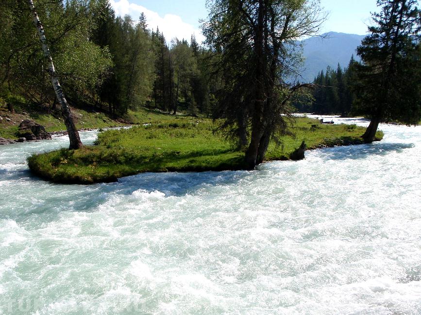 Речка до Урочище Елань. Усть-Коксинский район Алтай.